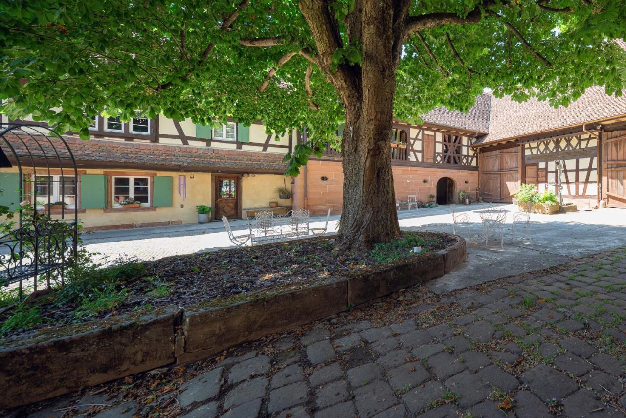 Bed and Breakfast Au Fil Du Temps Imbsheim Zewnętrze zdjęcie