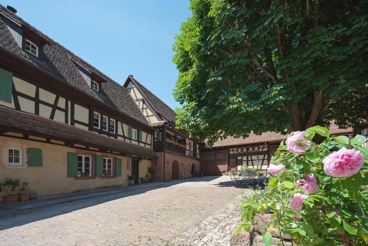 Bed and Breakfast Au Fil Du Temps Imbsheim Zewnętrze zdjęcie