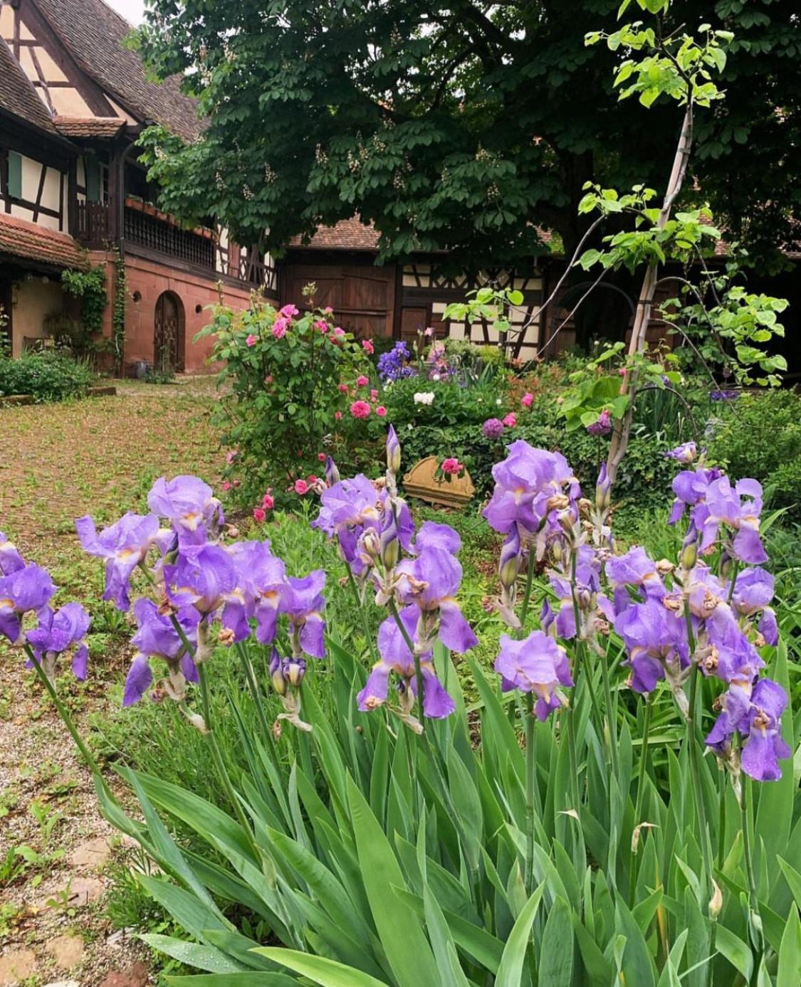 Bed and Breakfast Au Fil Du Temps Imbsheim Zewnętrze zdjęcie